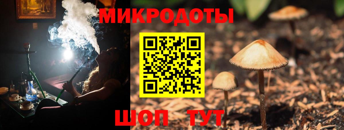 Псилоцибиновые грибы прущие грибы  закладки  Димитровград  Вход с VPN 